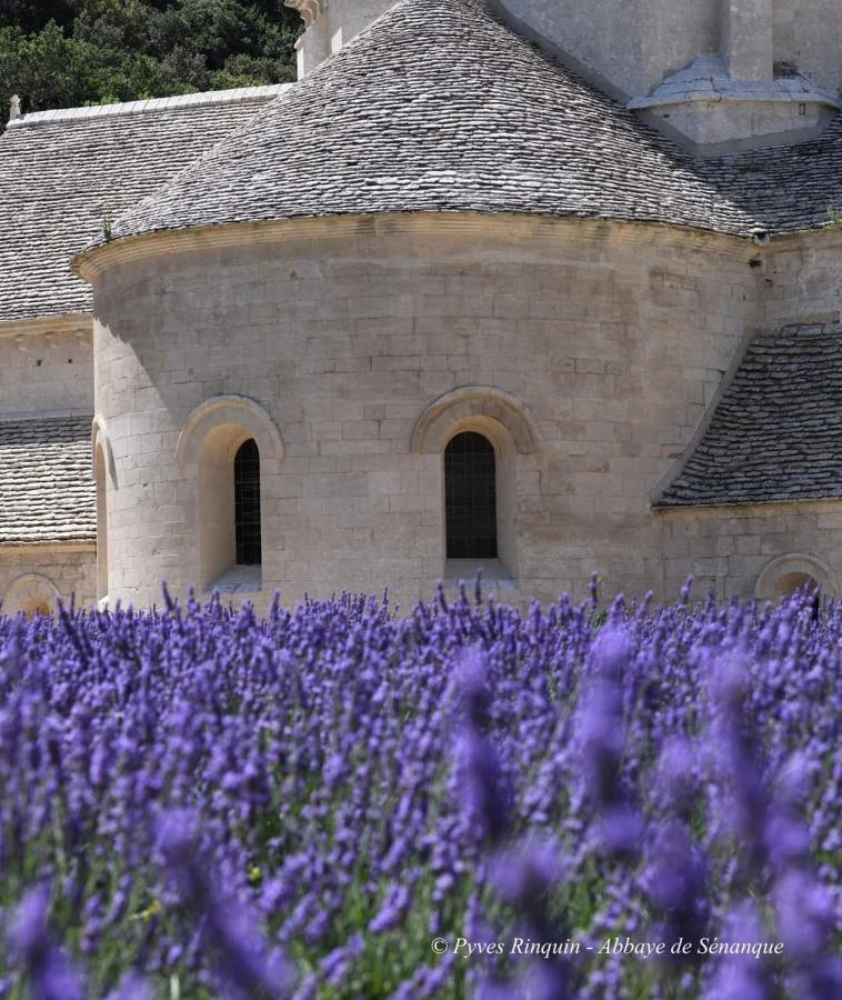 Entre Ventoux Et Luberon Chambre D'Hote Sault-de-Vaucluse Exterior photo