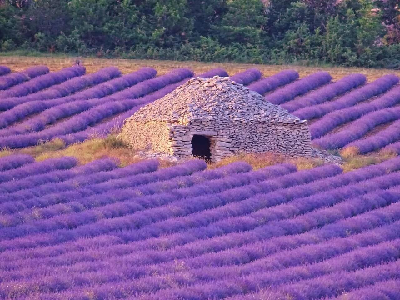 Entre Ventoux Et Luberon Chambre D'Hote Sault-de-Vaucluse Exterior photo